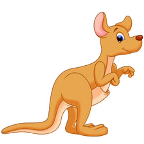 500x500 Baby Kangaroo Image 2.png