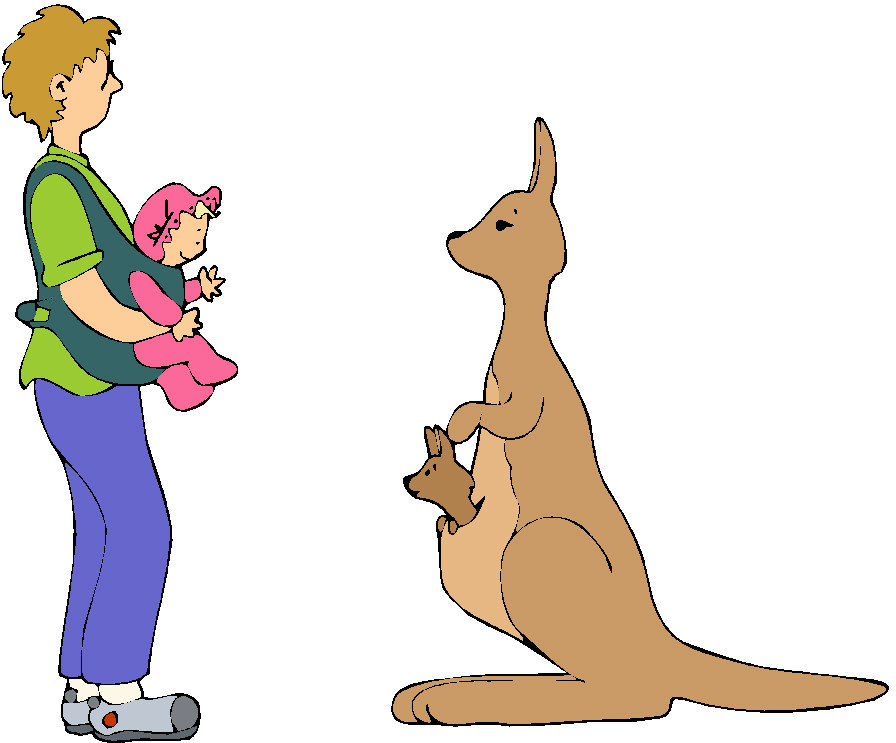 896x743 Kangaroo Clip Art