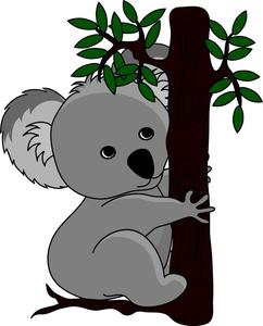 242x300 Koala Drawings Clip Art
