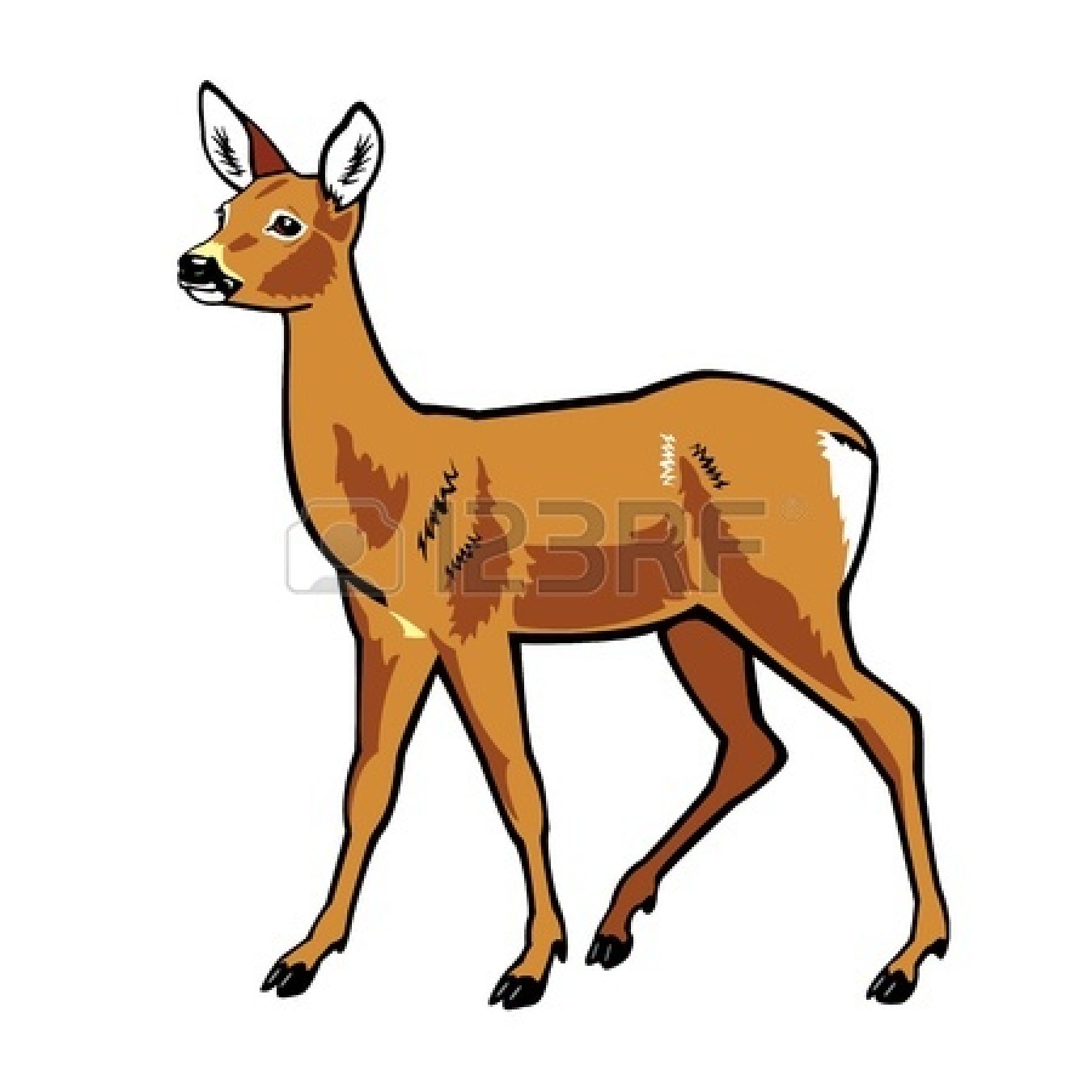 1350x1350 Baby Deer Gallery For Deer Clipart Eye