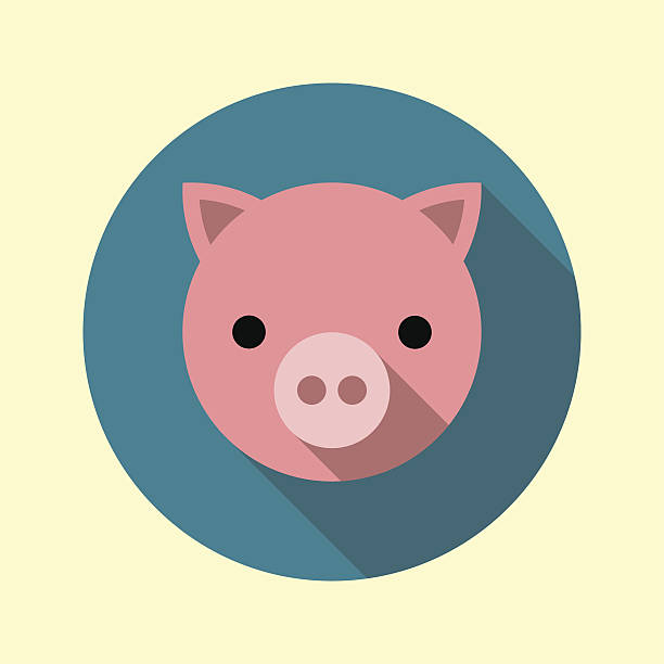 612x612 Pigs Clipart Icon Collection