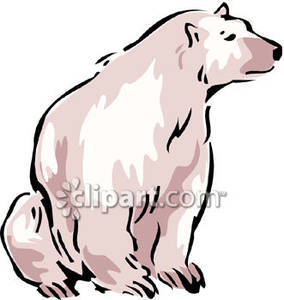 284x300 Polar Bear Sitting
