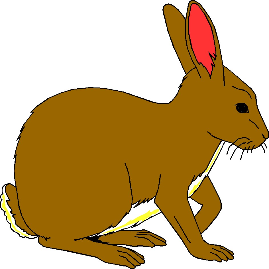 944x944 Bunny Clip Art Cartoon Images