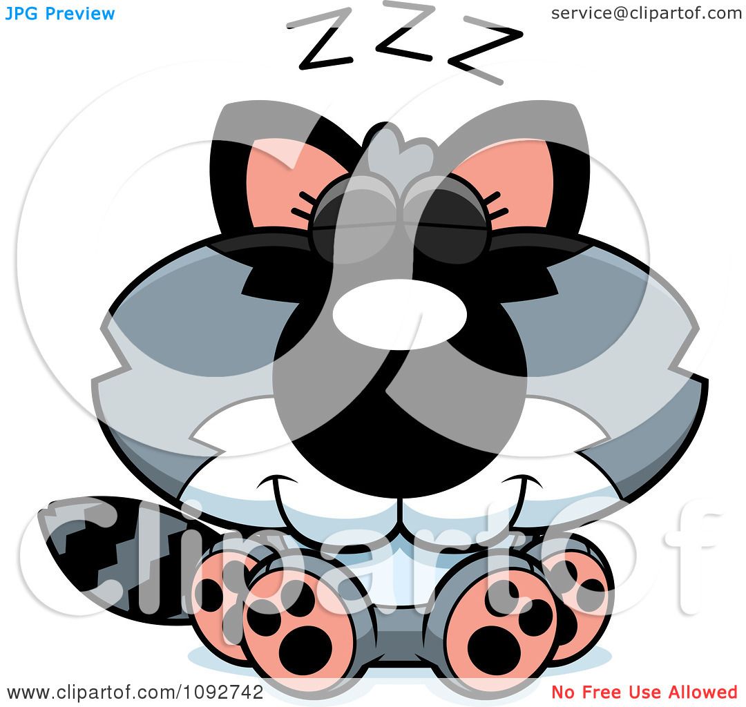 1080x1024 Clipart Cute Baby Raccoon Sleeping