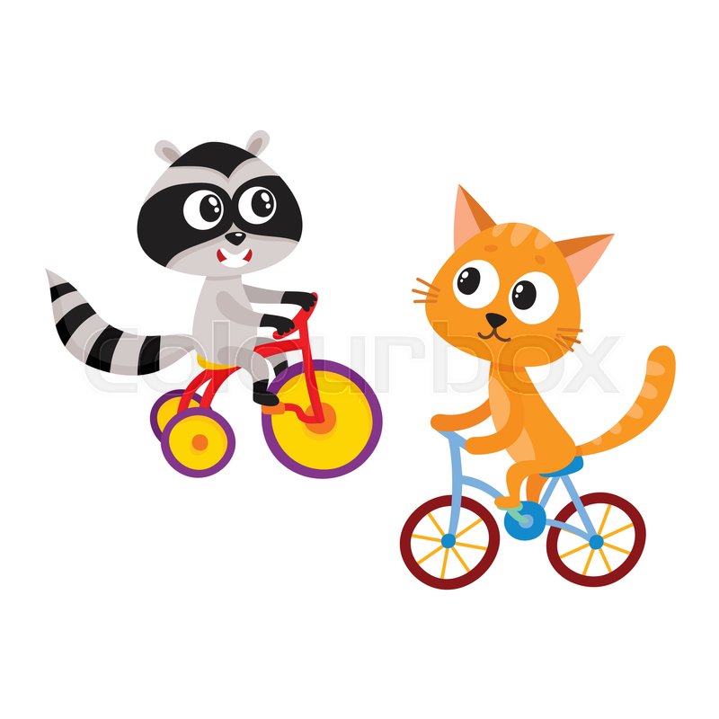 800x800 Cute Little Raccoon And Cat Characters Riding Bicycles Together