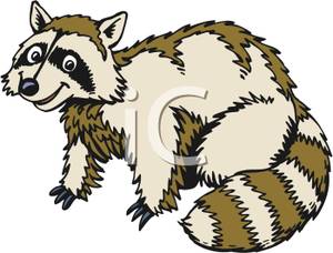 300x228 Racoon Clipart Brown 3834441
