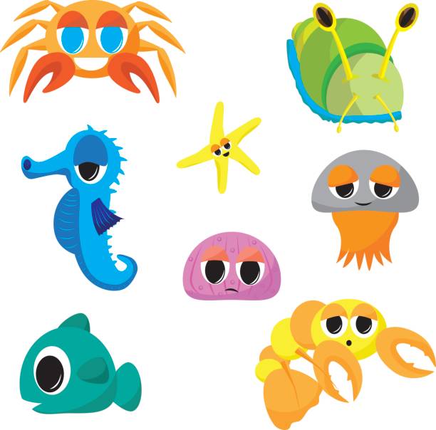 612x604 Baby Sea Animals Clipart