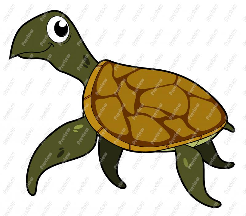 800x701 Sea Turtle Character Clip Art Clipart Panda