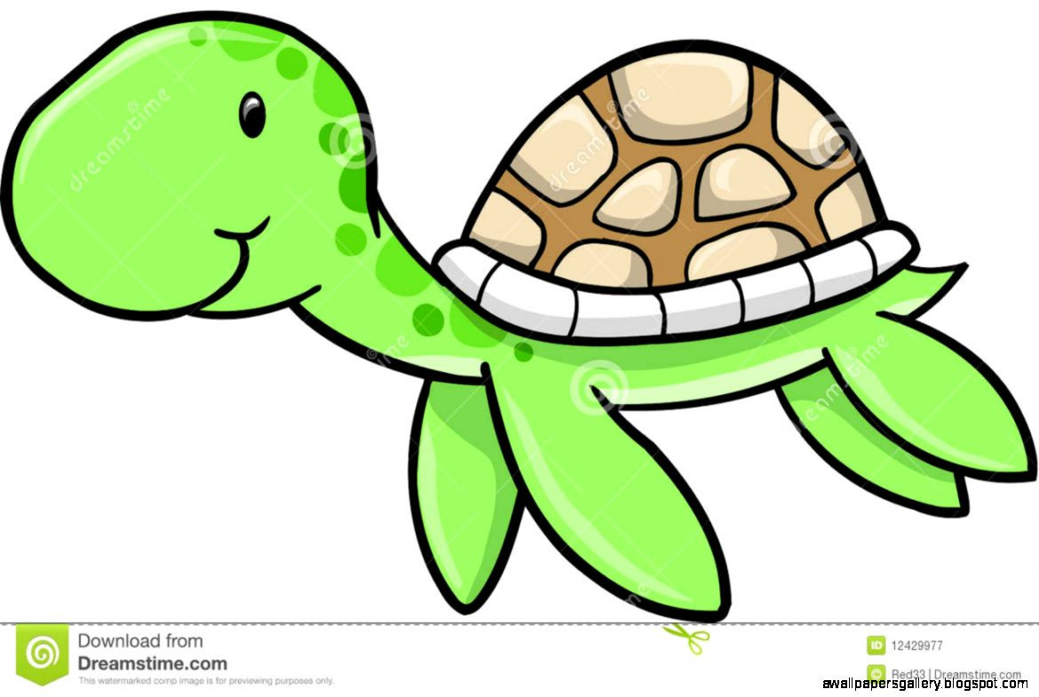 1170x785 Sea Turtles Clipart