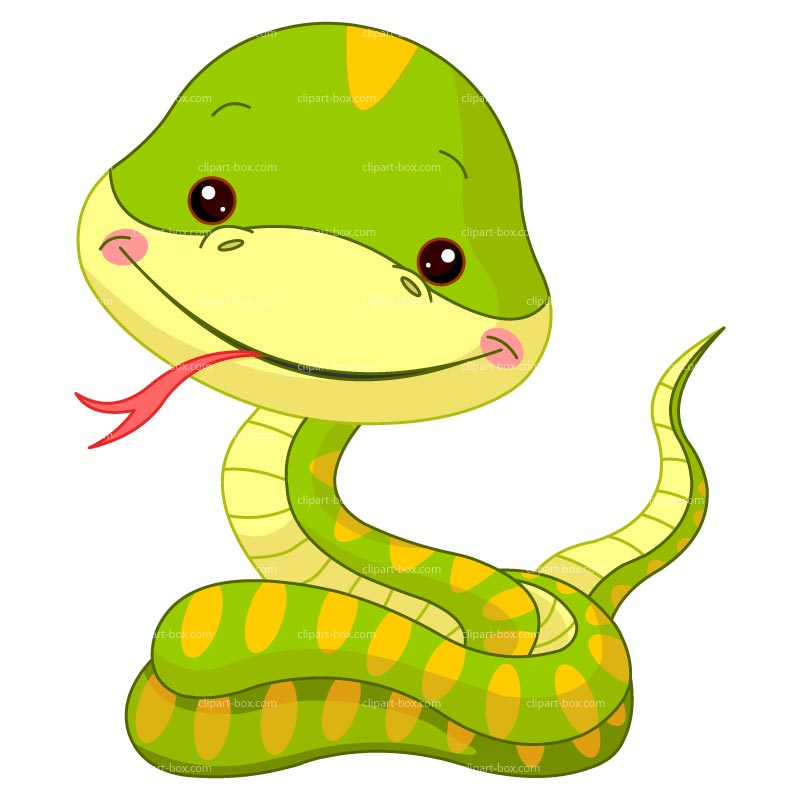 800x800 Cartoon Snake Clipart