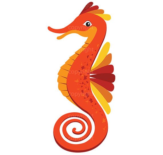 570x542 Cute Seahorse Illustration Nursery Art Baby Shower Clipart