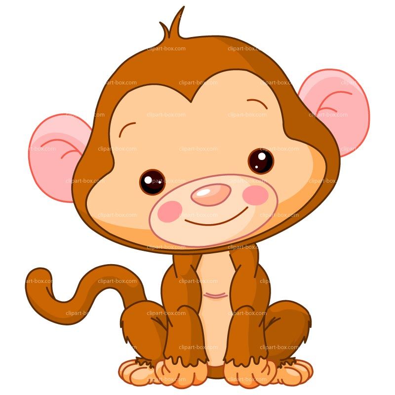 800x800 Collection Of Cute Baby Monkey Clipart High Quality, Free