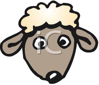 350x301 Baby Sheep Face