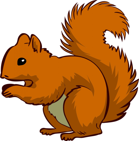 480x487 Clipart Squirrel