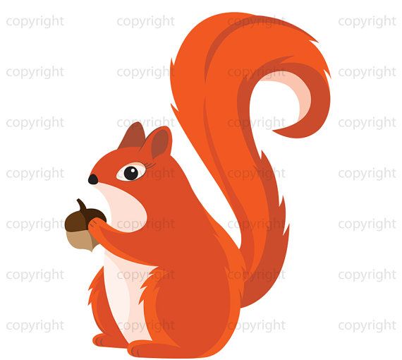 570x510 Squirrel Clipart Printable Art Woodland Creatures Digital