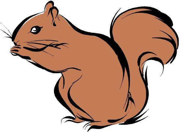 607x438 Squirrel Clipart