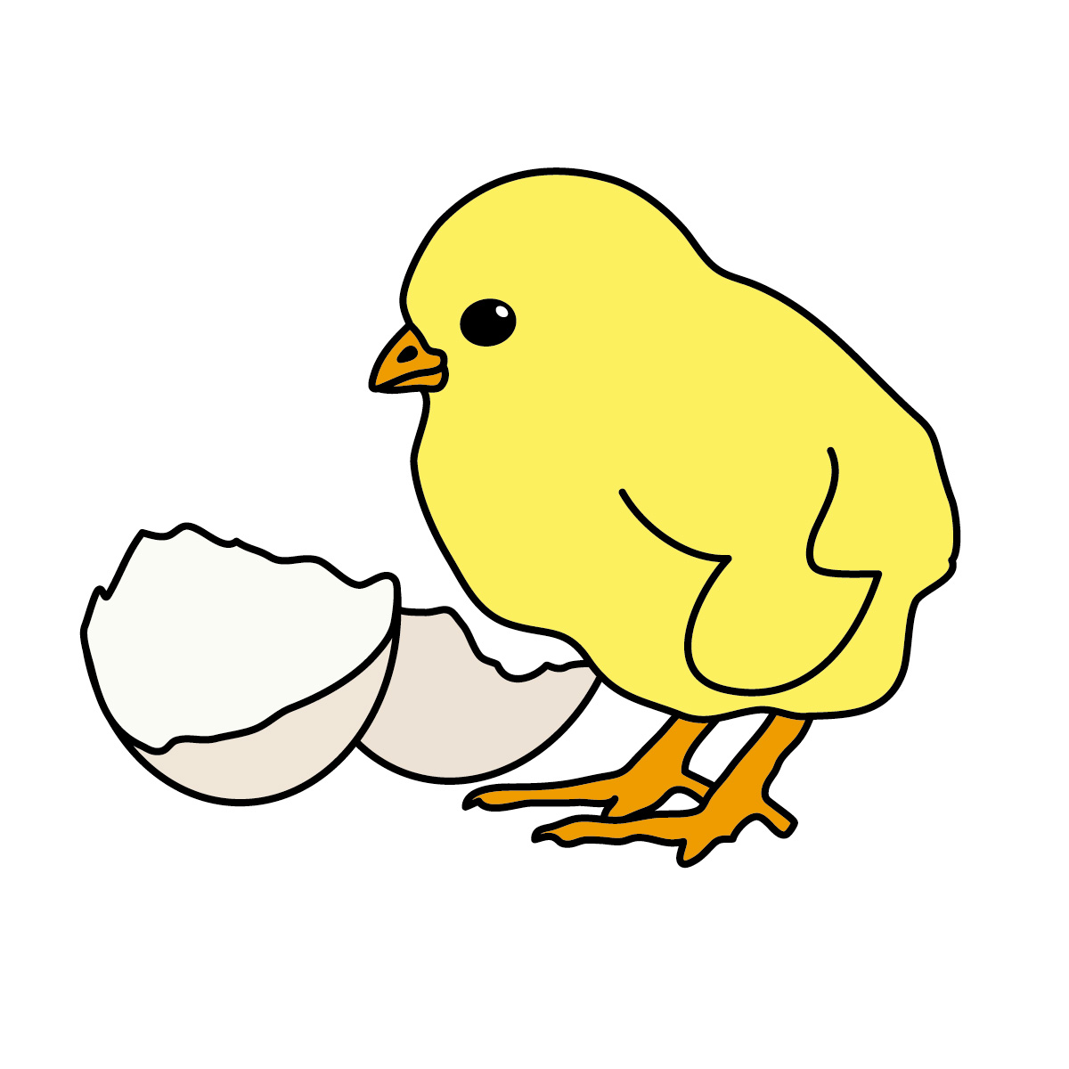 1200x1200 Cute Clipart Baby Chicken Free Collection Download And Share