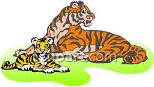 300x169 Intricate Clipart Tiger Vector Cartoon Cliprt Illustration
