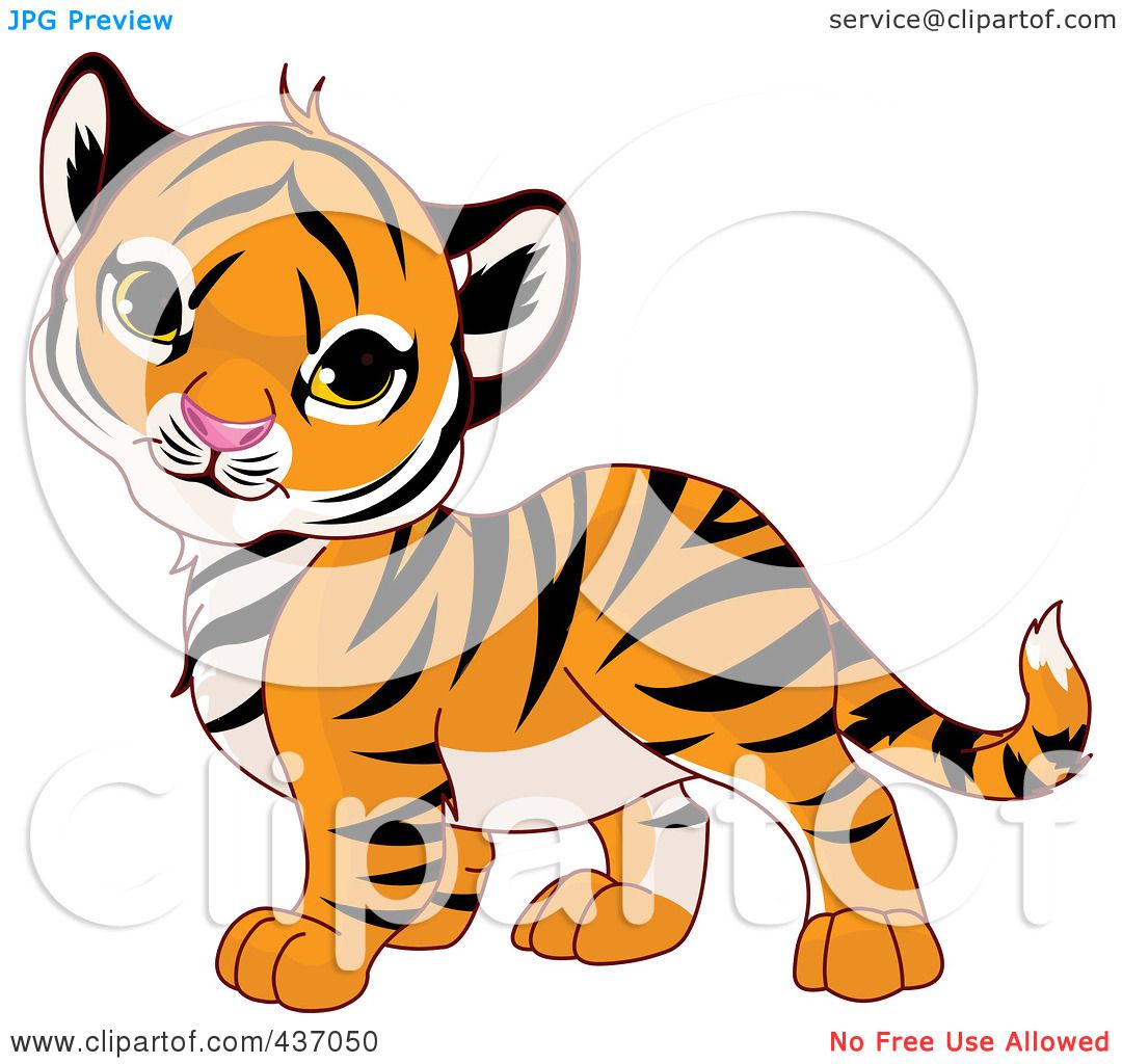 1080x1024 Royalty Free (Rf) Clipart Illustration Of A Cute Baby Tiger