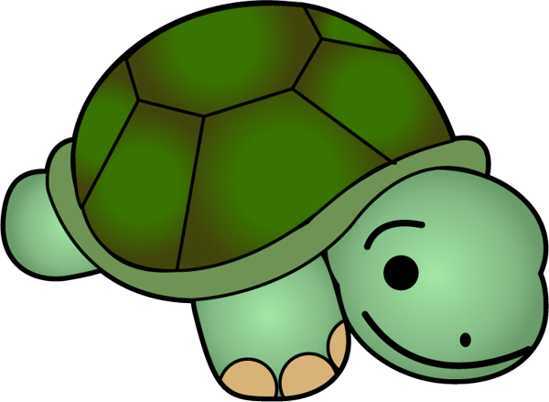 549x402 Baby Turtle Clipart