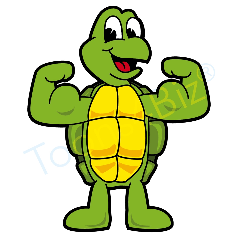 1000x1000 Cartoon Turtles