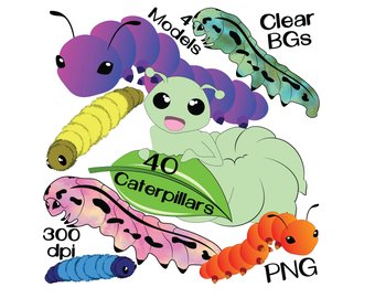 340x270 Baby Turtles Turtle Clipart Cute Sea Turtles Turtle Printable