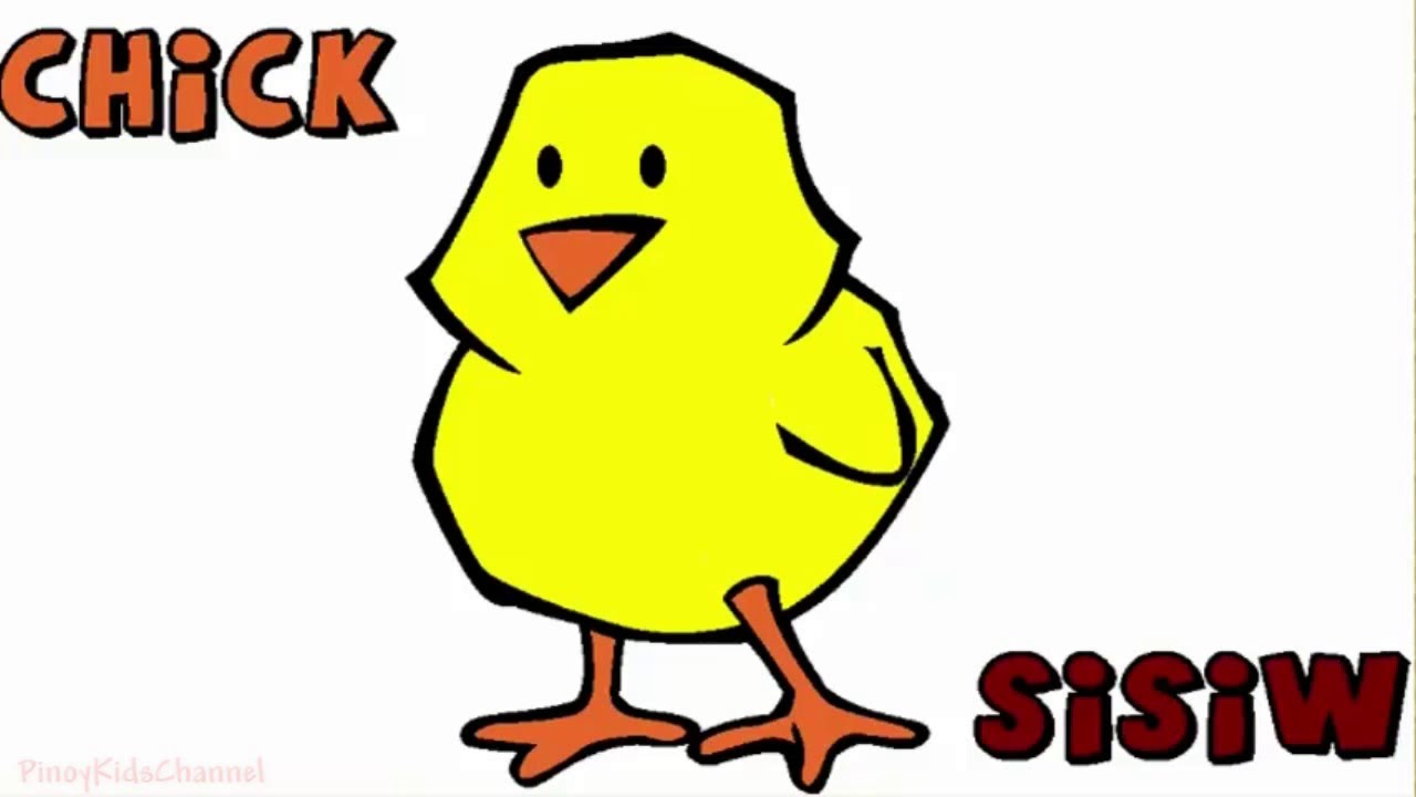 1280x720 Sisiw Tagalog Meaning Chick In English Coloring Page For Children