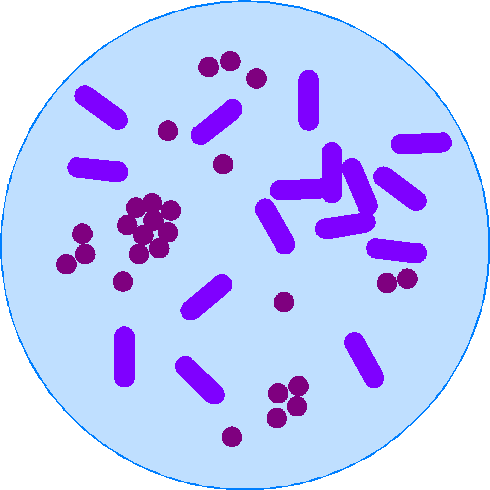 490x490 Bacteria Clipart Dead