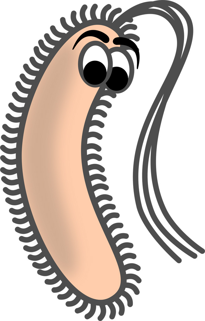 654x1024 Funny Bacteria Clip Art