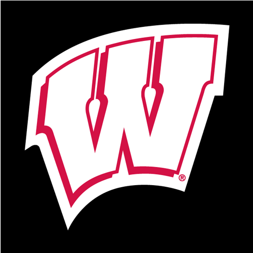 500x500 Wisconsin Badgers Logo Clipart
