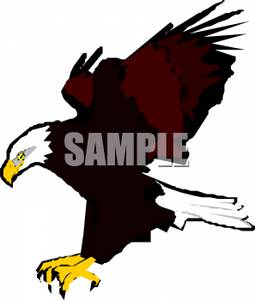 255x300 Eagle Clip Art Free Images Clipart Panda