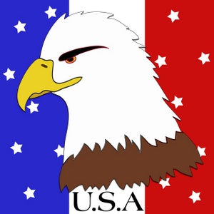 300x300 Free American Eagle Clipart Image 0515 0904 2218 5510