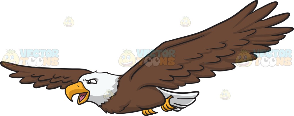 1024x406 Soaring Eagle Clip Art Soaring Eagle Clipart Black And White