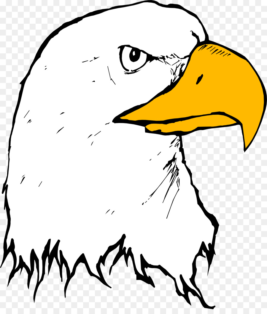 900x1060 Bald Eagle Beak Clip Art