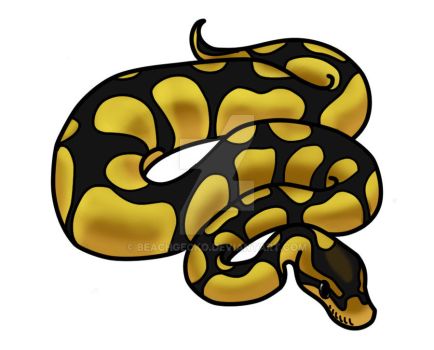 Ball Python Clipart at GetDrawings | Free download