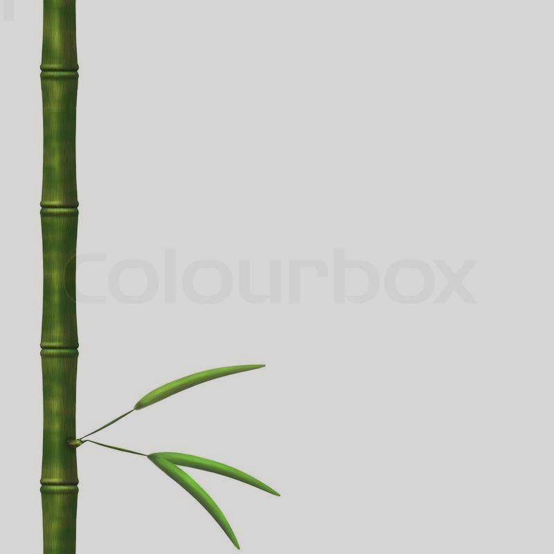 800x800 Bamboo Stick Clipart
