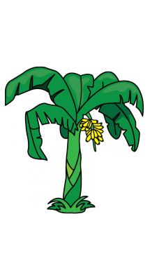 215x382 How To Draw A Banana Tree Step 11 Beautiful! Tutorials