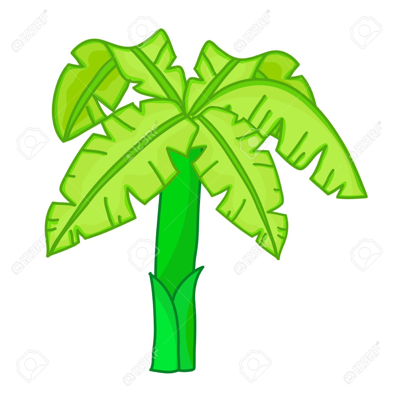 1300x1300 Photos Cartoon Banana Tree,