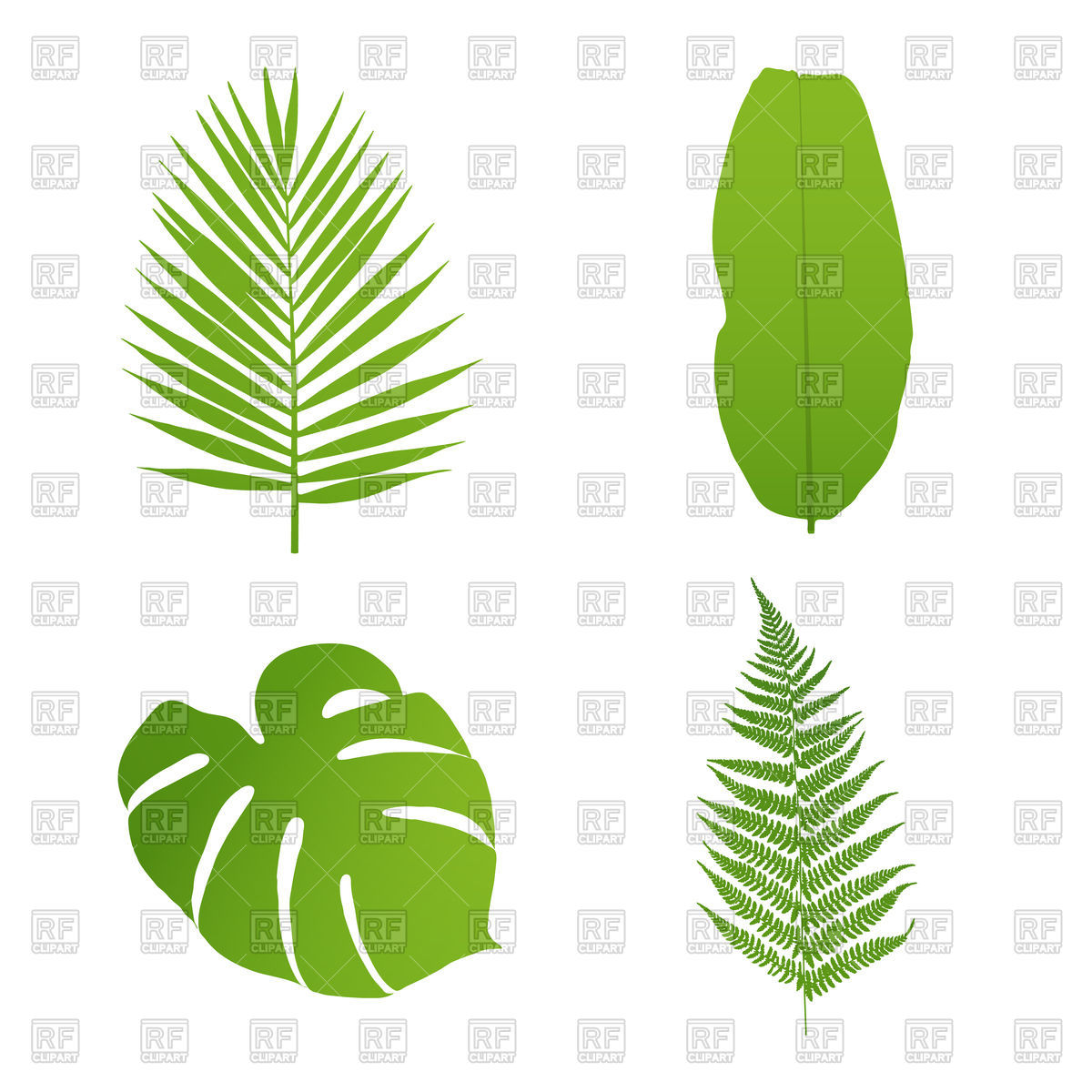 1200x1200 Set Of Tropical Leaves
