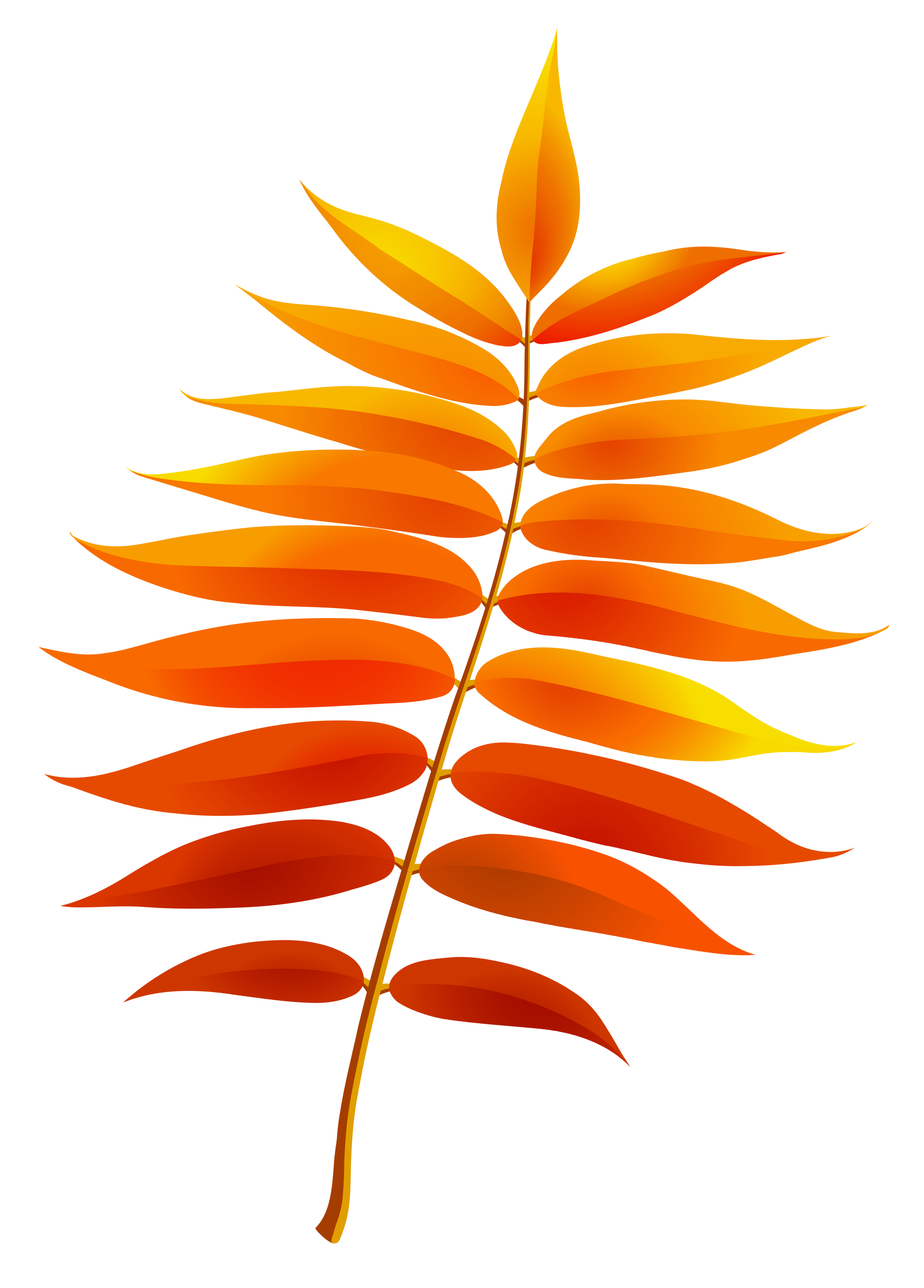 2619x3651 Splendid Design Ideas Leaves Clipart Banana Tree Pencil And