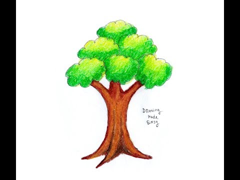 480x360 Download How To Draw Trees Easy , For Kids , Beginners Drawing