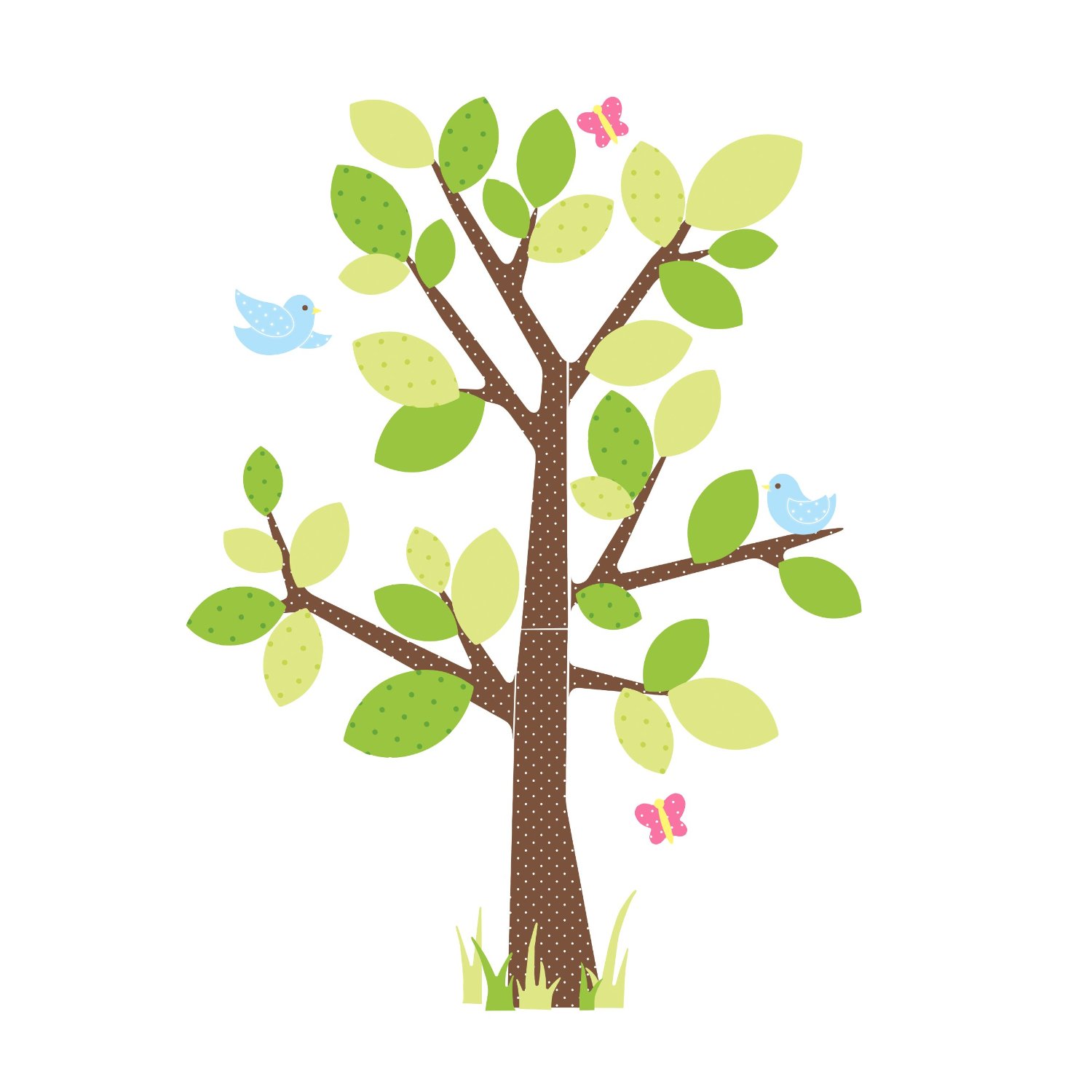 1500x1500 Interesting Pictures Of Trees For Kids Amazon Com Roommates