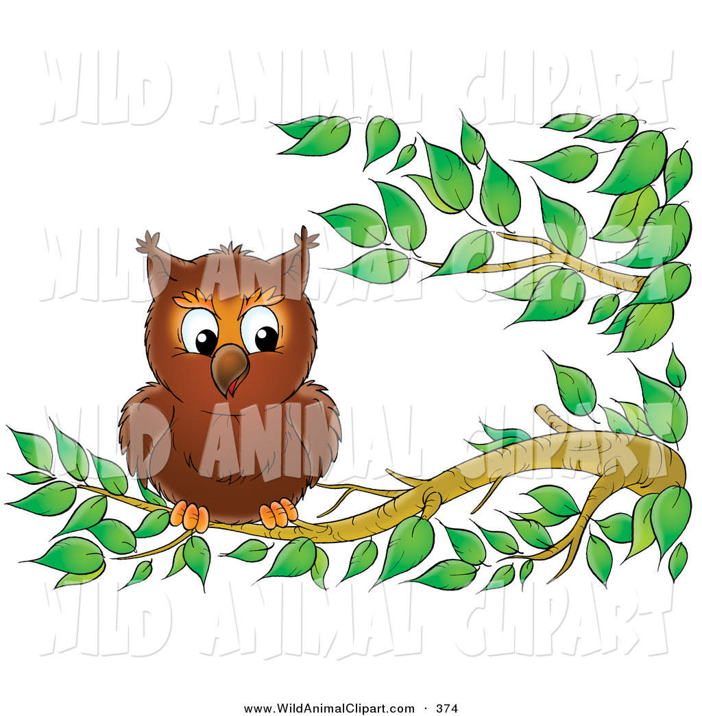 1024x1044 Clip Art Tree Limb Clip Art