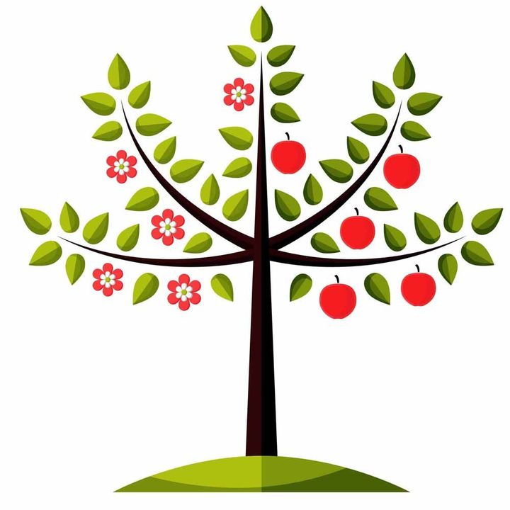 720x720 Picture Of Apple Trees