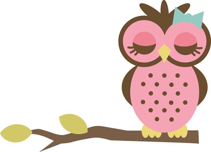 736x532 41 Best Images On Barn Owls, Owl Art And Owls