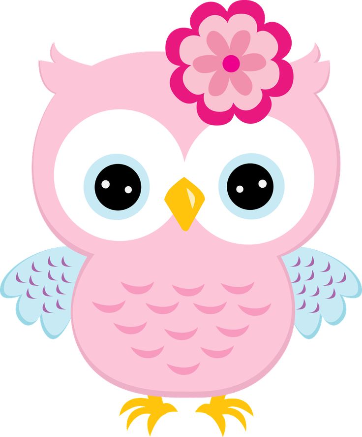 736x887 Owl Clipart Images