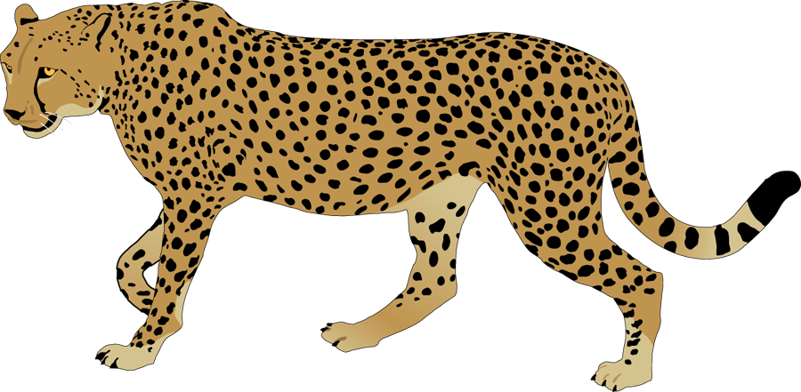 900x441 Animal Clip Art