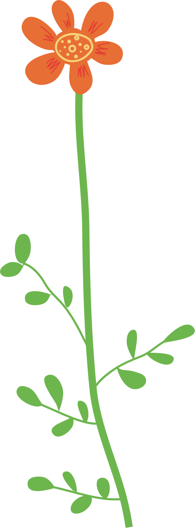 800x2161 Floral Plant Clipart, Explore Pictures