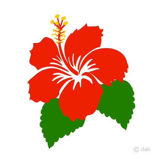 540x540 Free Simple Hibiscus Flower Clip Art Cartoon Amp Clipart