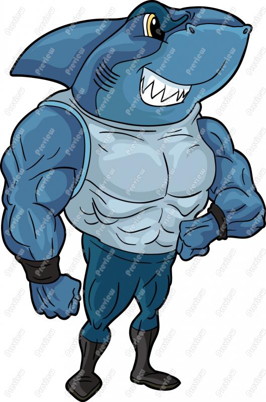 529x800 Mussel Clipart Shark